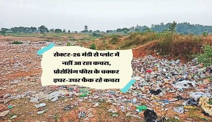 Composting Plant: सेक्टर-26 मंडी से प्लांट में नहीं आ रहा कचरा, प्रोसेसिंग फीस के चक्कर इधर-उधर फेंक रहे कचरा