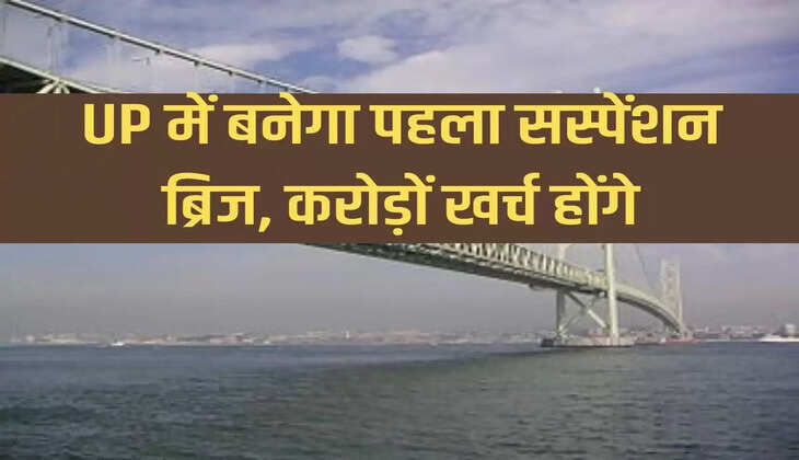 UP Suspension Bridges