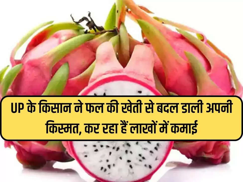 UP farmer changed his fortune from fruit farming, is earning lakhs