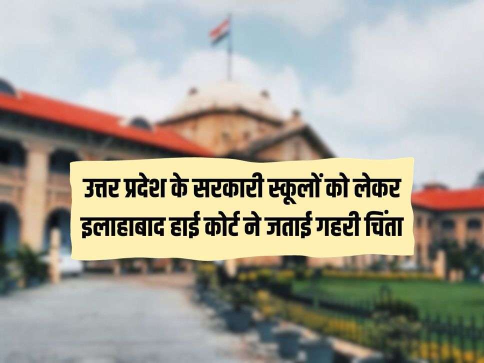 UP News : उत्तर प्रदेश के सरकारी स्कूलों को लेकर इलाहाबाद हाई कोर्ट ने जताई गहरी चिंता, पढ़ाई को लेकर कही बड़ी बात 