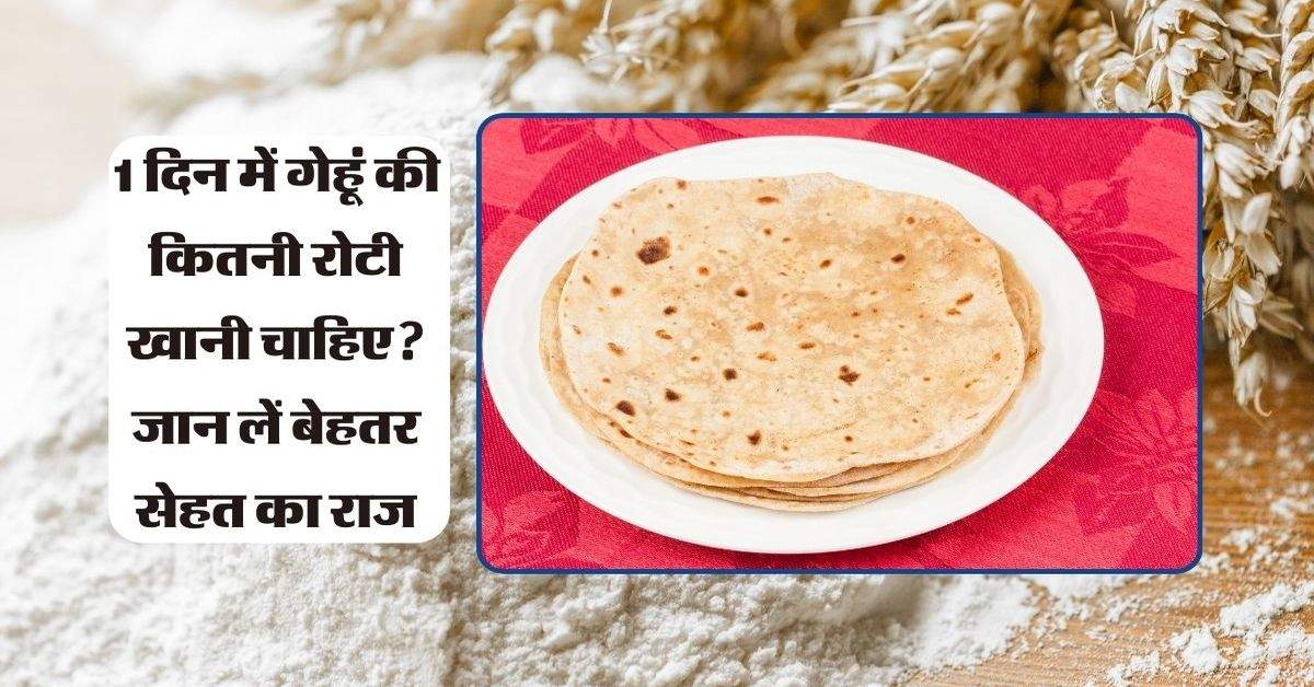 1 दिन में गेहूं की कितनी रोटी खानी चाहिए? जान लें बेहतर सेहत का राज