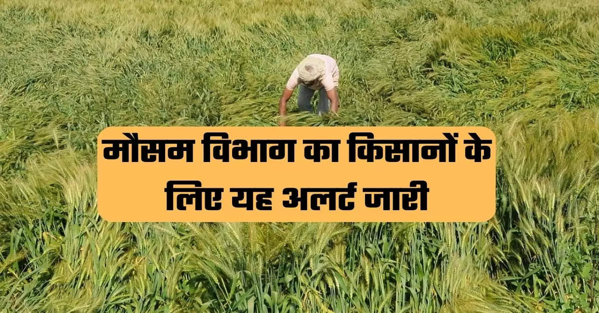 agriculture news, agriculture news in india, IMD Alert, rain alert, weather update