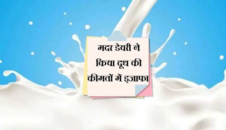 आम आदमी को महंगाई के मोर्चे पर लगा बड़ा झटका, मदर डेयरी ने किया दूध की कीमतों में इजाफा 