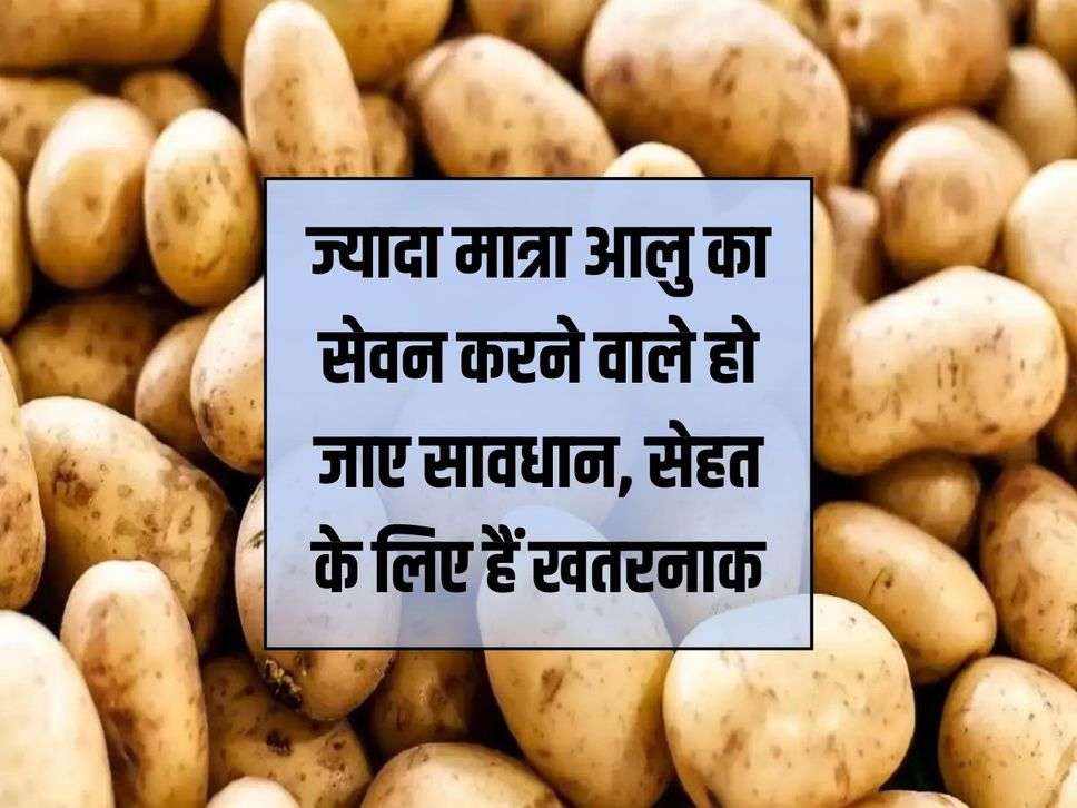 Those who consume potatoes in large quantities should be careful, they are dangerous for health.