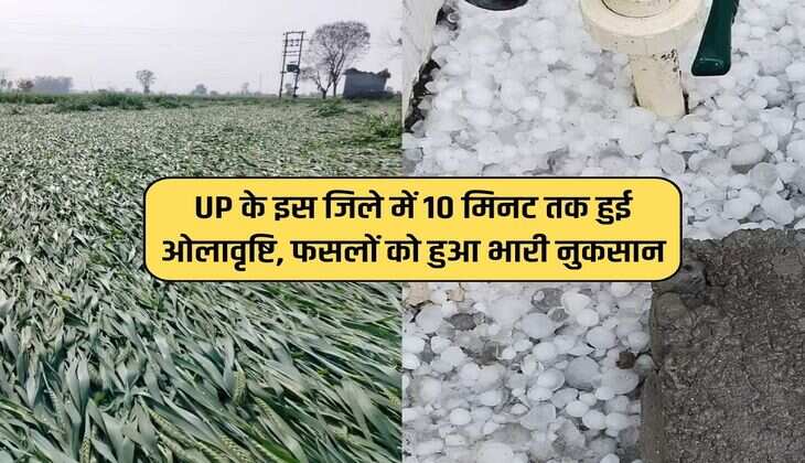 UP के इस जिले में 10 मिनट तक हुई ओलावृष्टि, फसलों को हुआ भारी नुकसान