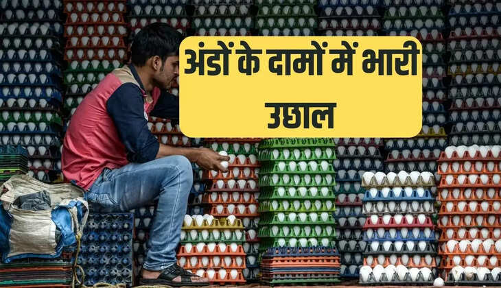 एग प्राइस, अंडा भी हुआ महंगा, अंडा क्यों हुआ महंगा, अंडा कीमत, अंडा की कीमत, immunity booster egg, Egg price in Delhi, egg price, egg per piece, egg high price, egg consumption"