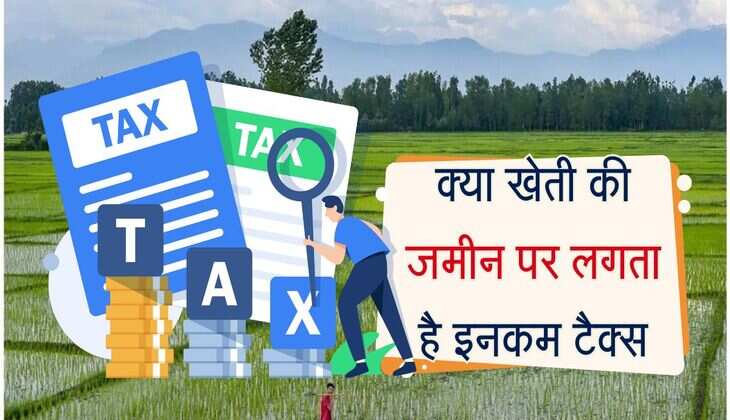 Income Tax Rules 2025 : कृषि भूमि पर कितना लगता है टैक्स, जानिये क्या कहता है इनकम टैक्स का नियम