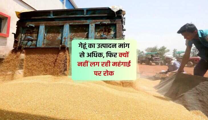 Wheat Production: गेहूं का उत्पादन मांग से अधिक, फिर क्यों नहीं लग रही महंगाई पर रोक