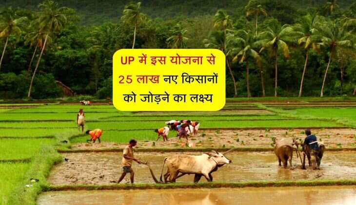 UP में इस योजना से 25 लाख नए किसानों को जोड़ने का लक्ष्य, फसली ऋण सुविधाओं का मिलेगा लाभ