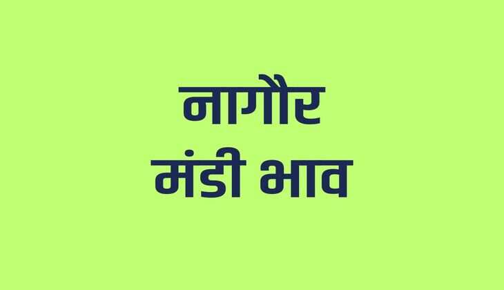 नागौर मंडी भाव 12 मार्च 2024: मोठ, तिल, ज्वार, ग्वार, जीरा, इसबगोल समेत अन्य उपज रेट
