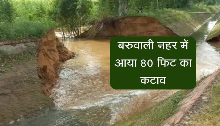 सिरसा जिले में बरुवाली नहर में आया 80 फिट का कटाव, 200 एकड़ फसल तबाह