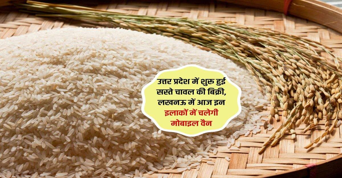 उत्तर प्रदेश में शुरू हुई सस्ते चावल की बिक्री, लखनऊ में आज इन इलाकों में चलेगी मोबाइल वैन