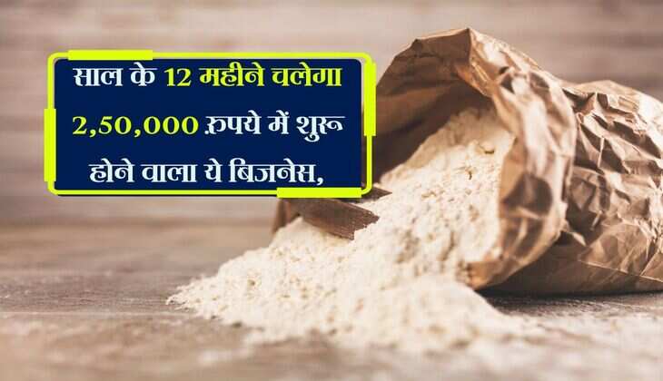 Business Idea: साल के 12 महीने चलेगा 2,50,000 रुपये में शुरू होने वाला ये बिजनेस, बाजार में तगड़ी मांग