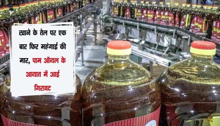 खाने के तेल पर एक बार फिर महंगाई की मार, पाम ऑयल के आयात में आई गिरावट