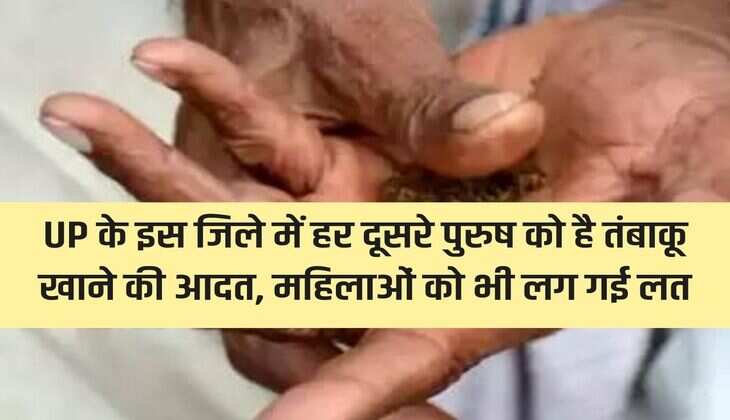 In this district of UP, every second man has the habit of consuming tobacco, women also got addicted