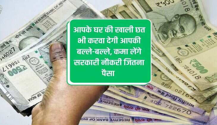 You can even get the empty roof of your house repaired, you will earn as much money as a government job.