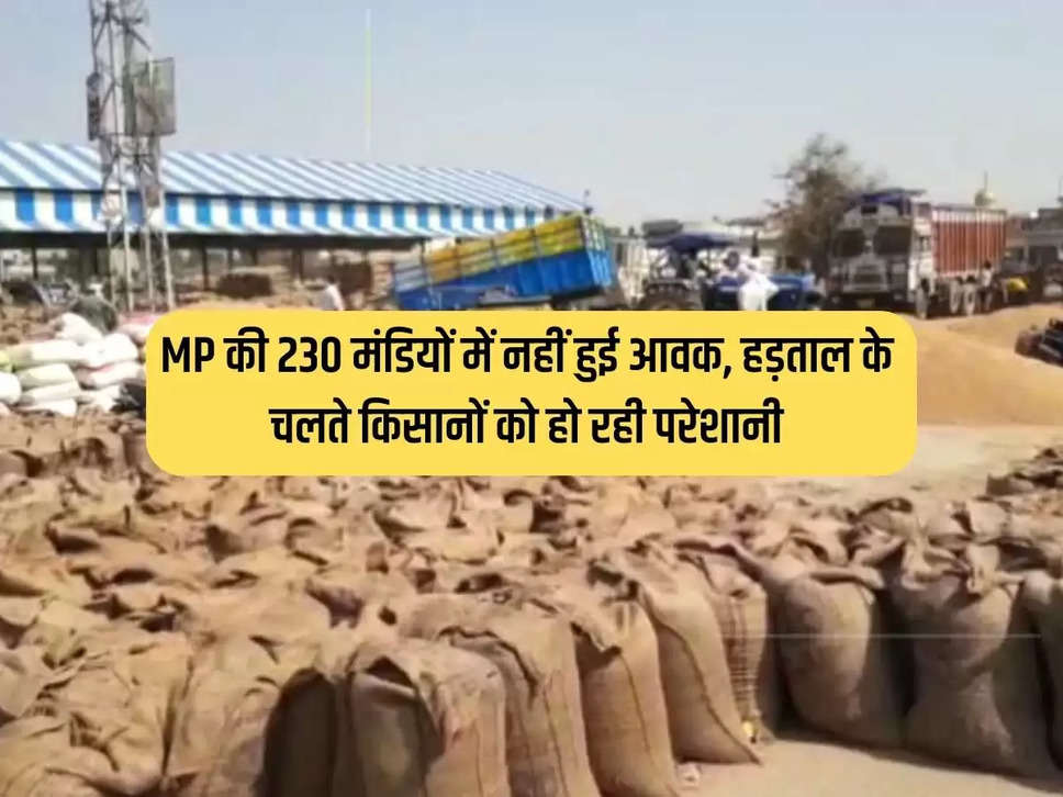 There was no arrival in 230 mandis of MP, farmers are facing problems due to the strike.