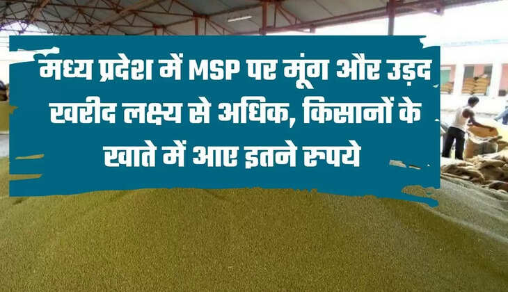 "moong procurement, moong farming, daily purchase limit of moong, Madhya Pradesh news, latest agriculture news in hindi, Kamal Patel, Madhya Pradesh, moong msp, मूंग की खरीद, मूंग की खेती, मूंग की दैनिक खरीद सीमा, मध्य प्रदेश समाचार, नवीनतम कृषि समाचार हिंदी में, मध्य प्रदेश, मूंग की एमएसपी
