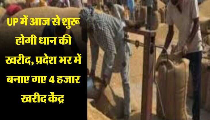 UP में आज से शुरू होगी धान की खरीद, प्रदेश भर में बनाए गए 4 हजार खरीद केंद्र 