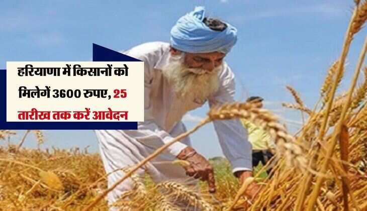 हरियाणा में किसानों को मिलेगें 3600 रुपए, 25 तारीख तक करें आवेदन