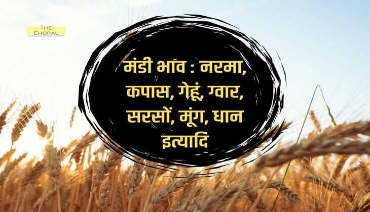 मंडी भाव 23 दिसंबर 2023: नरमा, कपास, गेहूं, ग्वार, सरसों, मूंग, धान इत्यादि कृषि उपज भाव