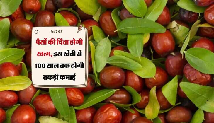 Business Tips: पैसों की चिंता होगी खत्म, इस खेती से 100 साल तक होगी तकड़ी कमाई