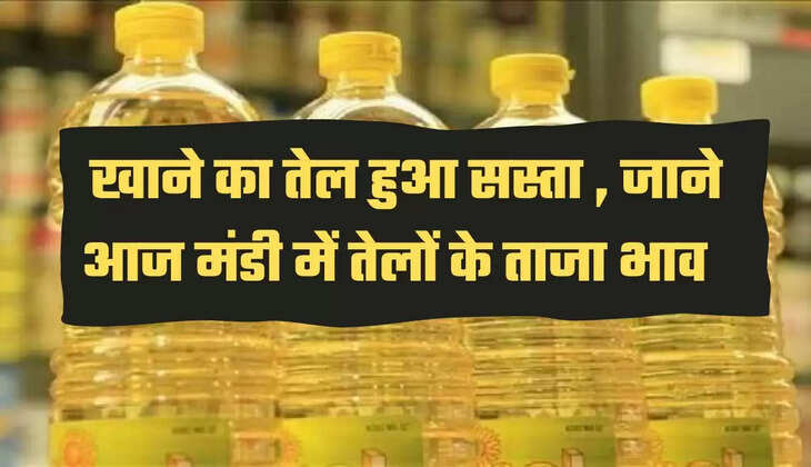 news new bhav mandi तेल 