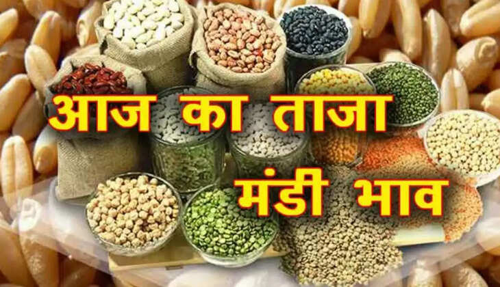 Aaj Ka Mandi Bhav 8 Feb 2022