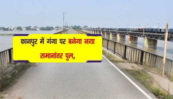 Cotton Bhav: कपास के भावों में आई तेजी, आवक में हो रहा लगातार इजाफा