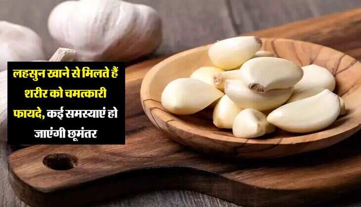 Garlic: लहसुन खाने से मिलते हैं शरीर को चमत्कारी फायदे, कई समस्याएं हो जाएंगी छूमंतर