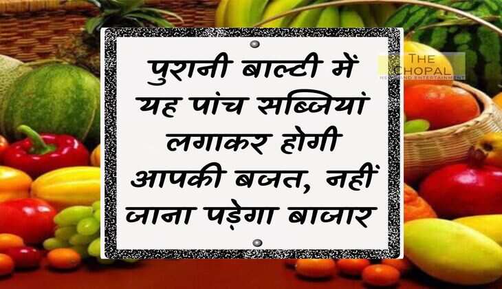 By planting these five vegetables in an old bucket, your budget will be saved, you will not have to go to the market.