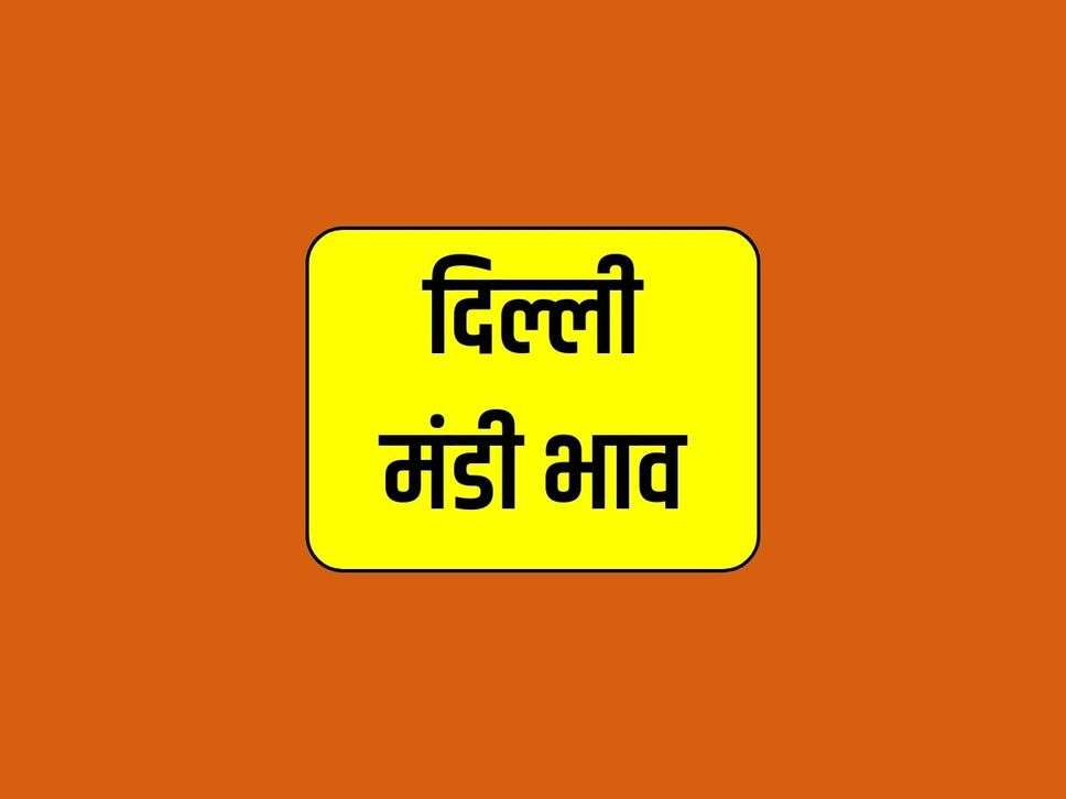 Delhi Mandi Bhav 19 March 2024 : चना, मूंग, और मोठ में आया उछाल, गेहूं और मसूर के रेट गिरे