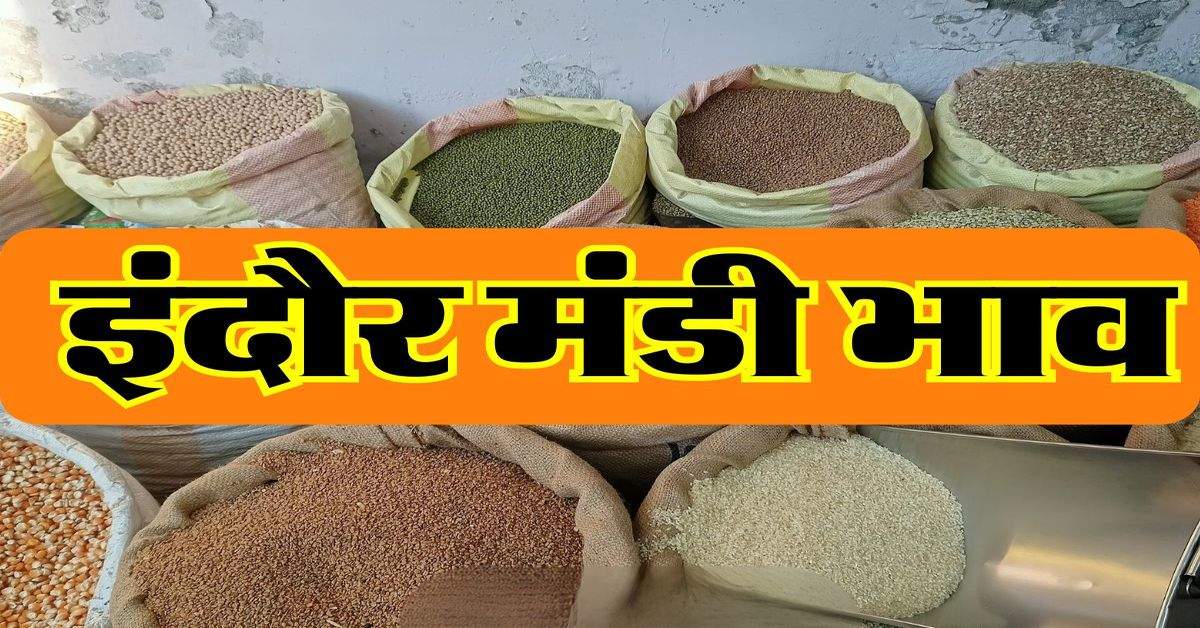 Indore Mandi Bhav: काबुली चने की कीमतों में उछाल, मंडी में आवक में कमी जारी 