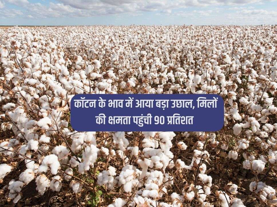 Cotton : कॉटन के भाव में आया बड़ा उछाल, मिलों की क्षमता पहुंची 90 प्रतिशत