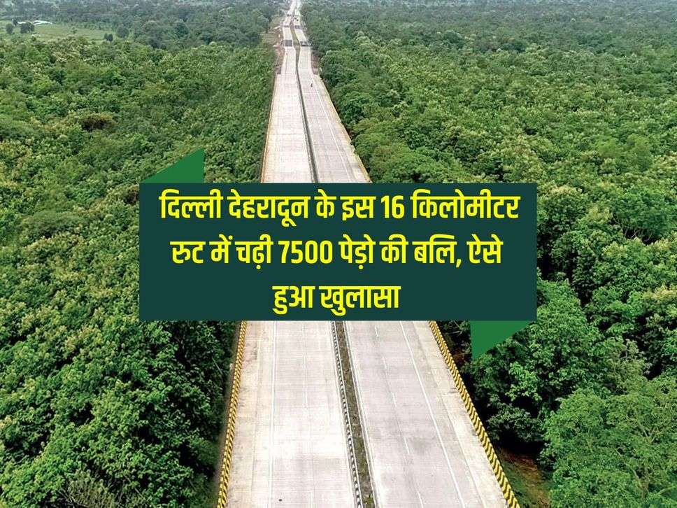 Delhi-Dehradun Expressway : दिल्ली देहरादून के इस 16 किलोमीटर रुट में चढ़ी 7500 पेड़ो की बलि, ऐसे हुआ खुलासा
