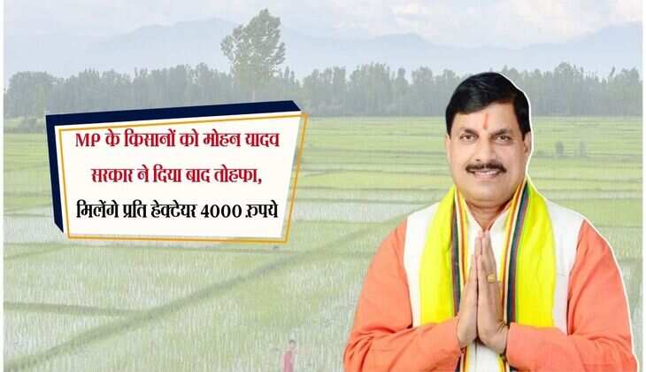MP के किसानों को मोहन यादव सरकार ने दिया बाद तोहफा, मिलेंगे प्रति हेक्टेयर 4000 रुपये