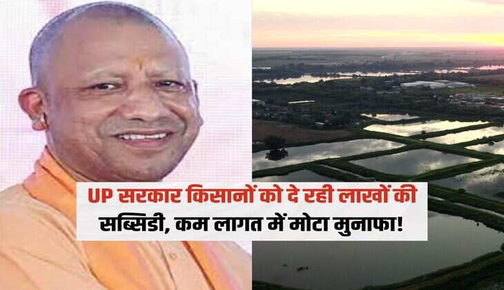 UP सरकार किसानों को दे रही लाखों की सब्सिडी, कम लागत में मोटा मुनाफा!
