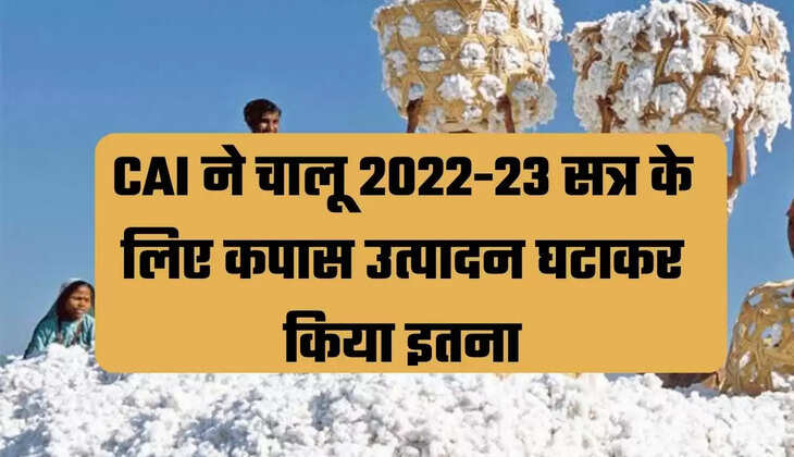 cotton, cotton export, mcx, cotton price, cotton import, cotton export, mcx, commodity market, कॉटन, कॉटन एक्सपोर्ट, एमसीएक्स, कॉटन का भाव, कॉटन  का इंपोर्ट, कॉटन  का एक्सपोर्ट, एमसीएक्स, कमोडिटी मार्केट,