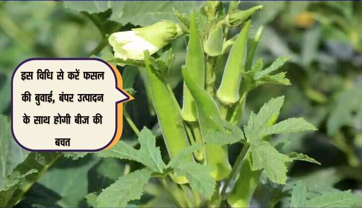 इस विधि से करें फसल की बुवाई, बंपर उत्पादन के साथ होगी बीज की बचत