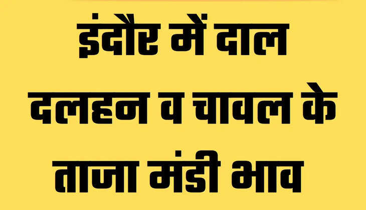 Indore Mandi News, Indore Mandi Bhav, Indore Mandi Bhav Today, Dal Rates in Indore, Dal Market in Indore, Pulses rate in Indore, Indore Market News, Indore News, MP News, Madhya Pradesh News, इंदौर मंडी समाचार, इंदौर मंडी भाव, इंदौर में दालों का रेट, इंदौर में दालों का भाव, इंदौर समाचार, मध्य प्रदेश समाचार,indore, madhya-pradesh, hindi news, nai dunia