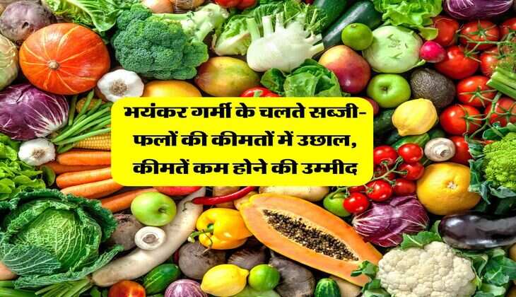 Jaipur Mandi Bhav: भयंकर गर्मी के चलते सब्जी-फलों की कीमतों में उछाल, कीमतें कम होने की उम्मीद
