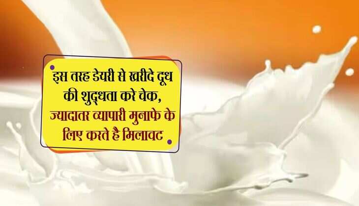 इस तरह डेयरी से खरीदे दूध की शुद्धता करे चेक, ज्यादातर व्यापारी मुनाफे के लिए करते है मिलावट