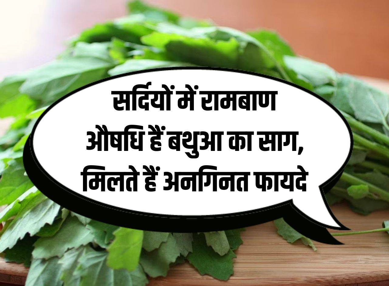 Bathua Saag: Bathua Saag is a panacea in winters, it provides countless benefits.