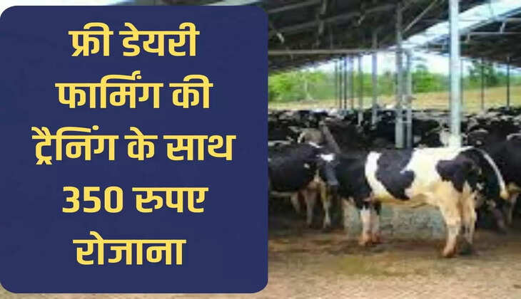 अब डेयरी फार्मिंग की फ्री ट्रैनिंग के साथ मिलेंगे 350 रुपए डेली, इस राज्य सरकार की शानदार योजना 