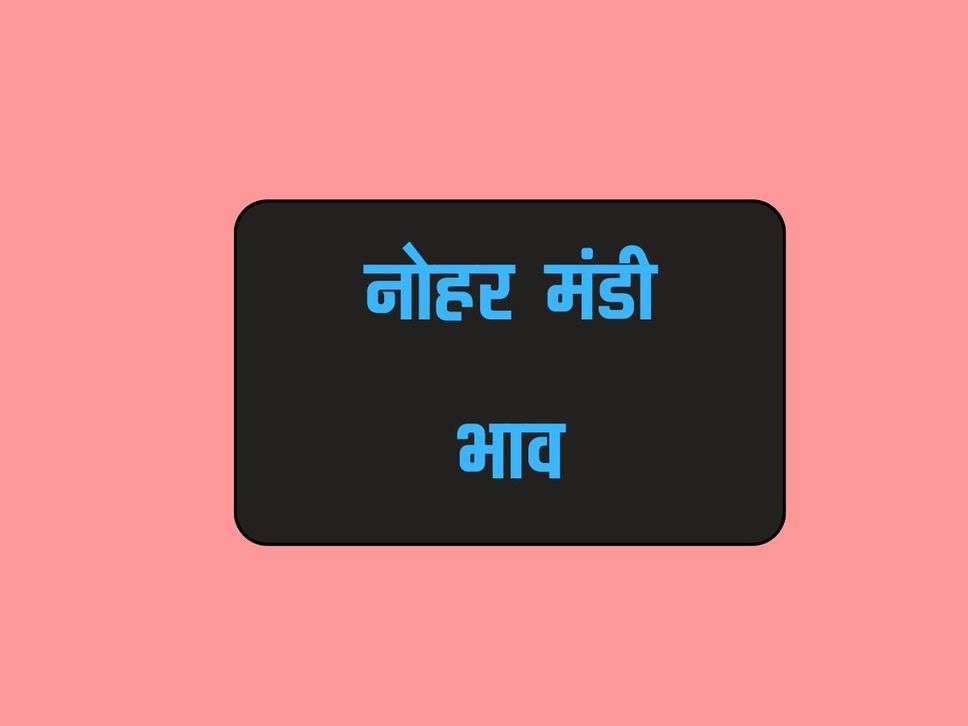 Nohar Mandi Bhav 18 May 2024: फसल, सरसों, ग्वार ,चना, तारामीरा, गेहू और जों भाव  