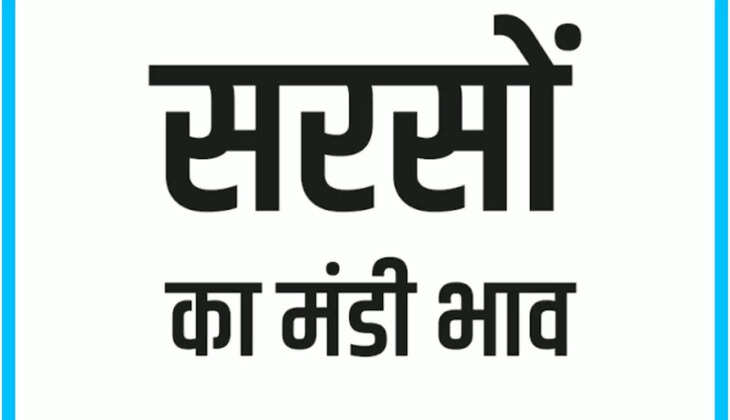 Aaj Ka Sarso Ka bhav