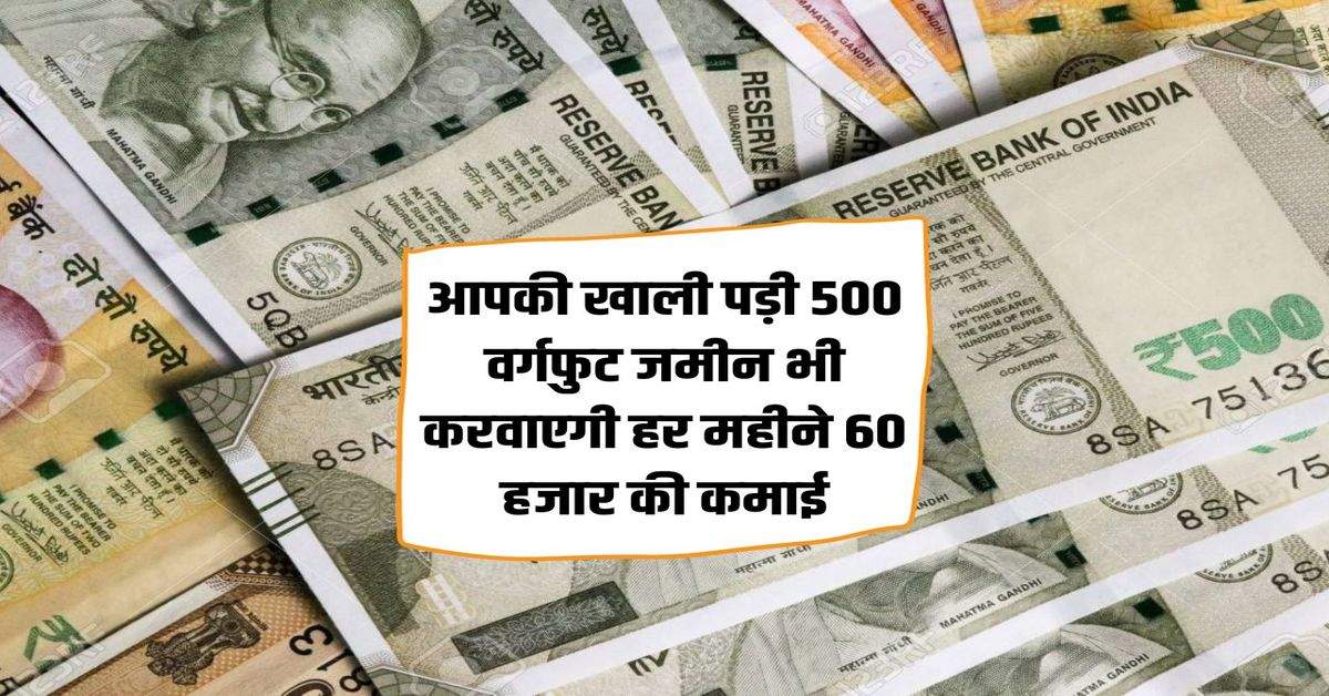 Business Tips: Even your 500 square feet vacant land will earn you Rs 60 thousand every month.