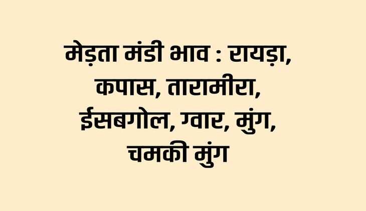मेड़ता मंडी भाव 29 जनवरी 2024 : रायड़ा, कपास, तारामीरा, ईसबगोल, ग्वार, मुंग, चमकी मुंग