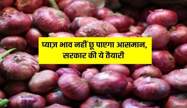 Onion Rate : प्याज़ भाव नहीं छू पाएगा आसमान, सरकार की ये तैयारी