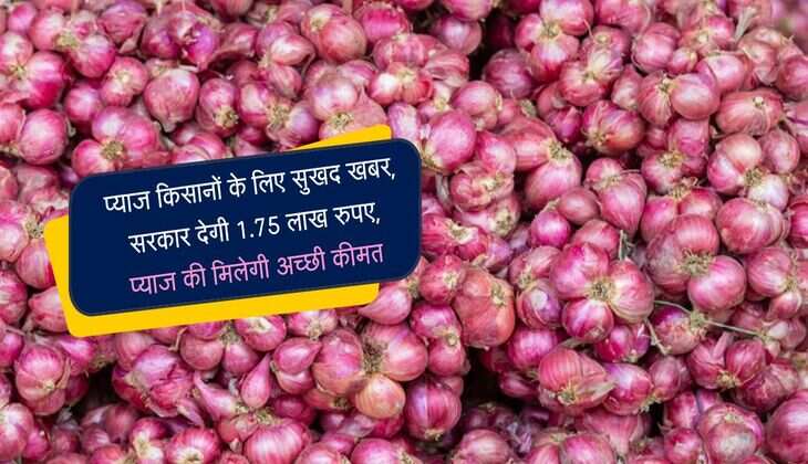 Onion storage: प्याज किसानों के लिए सुखद खबर, सरकार देगी 1.75 लाख रुपए, प्याज की मिलेगी अच्छी कीमत 